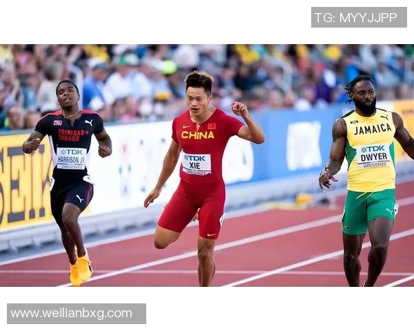 中国体育明星贡献排名榜揭示他们对国家体育发展的巨大影响与成就 中国体育明星贡献排名榜揭示他们对国家体育发展的巨大影响与成就