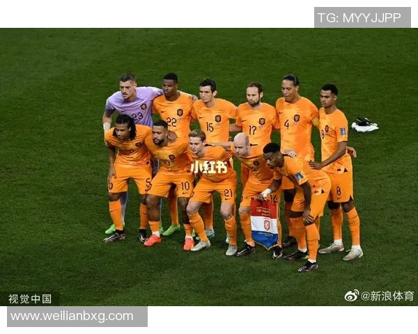 2003年荷兰与阿根廷精彩对决回顾及比赛分析 2003年荷兰与阿根廷精彩对决回顾及比赛分析