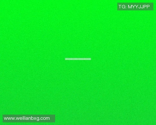 篮球明星姚敏的成长历程与职业生涯全景回顾